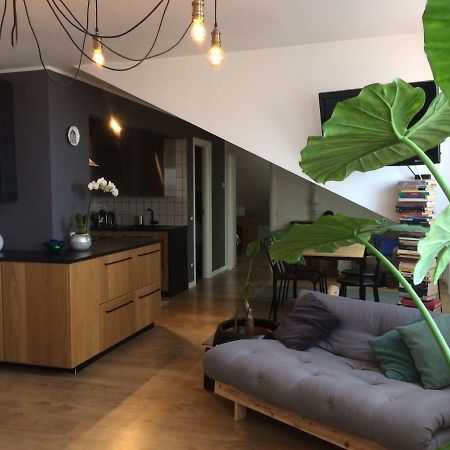 Little Lio Apartment Cavallino-Treporti Zewnętrze zdjęcie